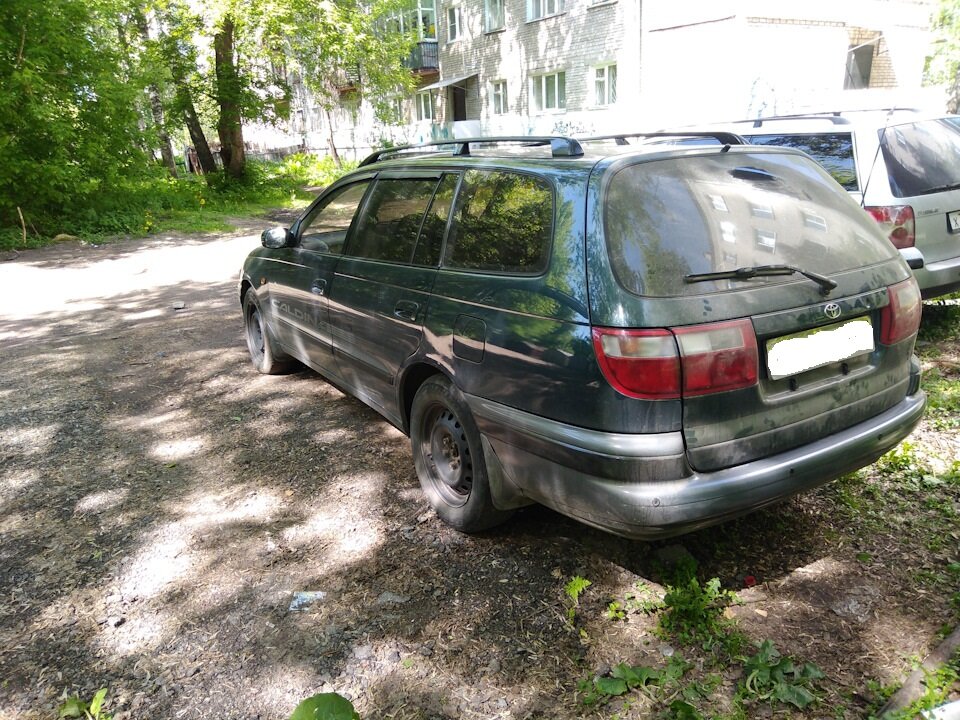 Фото с Яндекса картинки