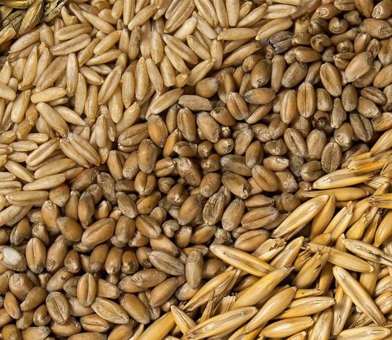 Зерносмесь