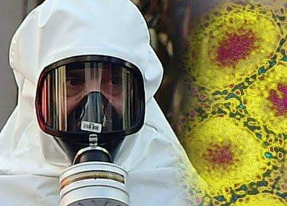 изображение из открытых источников