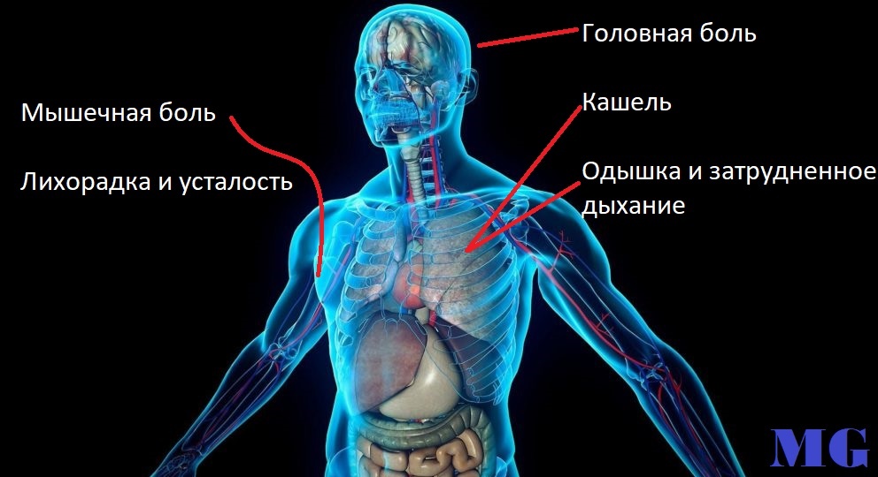 Источник: WHO