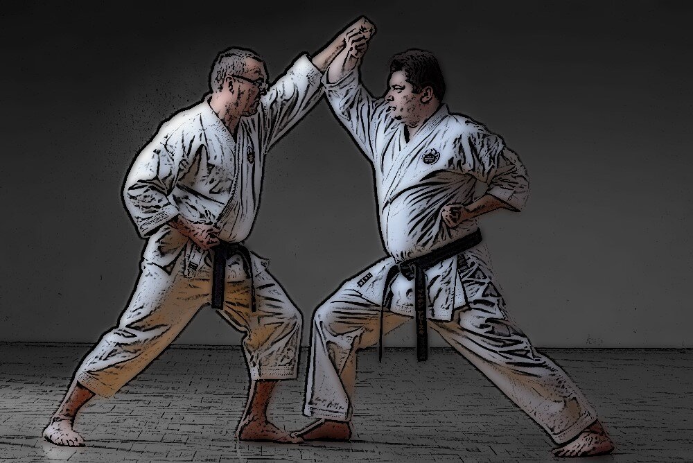 теги боевые искусства. лучшие боевые искусства. кумитэ спарринг. теги боевые искусства. бразильское джиу-джитсу борец.