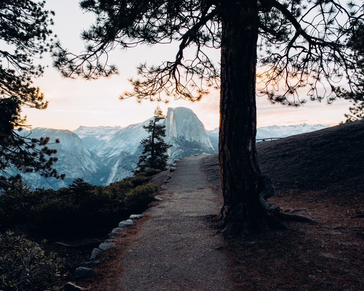 взято из открытых источников