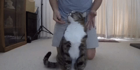 Это доверие