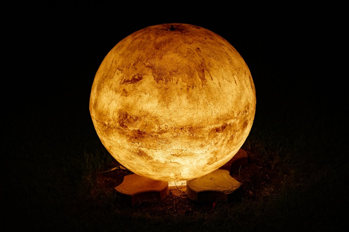 Photo by Stefan C. Asafti on Unsplash