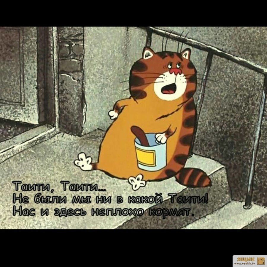                                                          Картинка из открытого источника