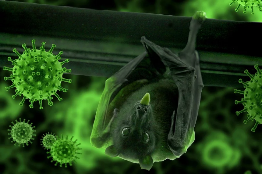 Фото из сети интернет.