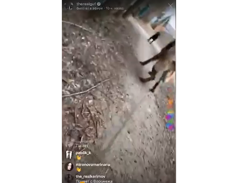 Это вот он навернулся!