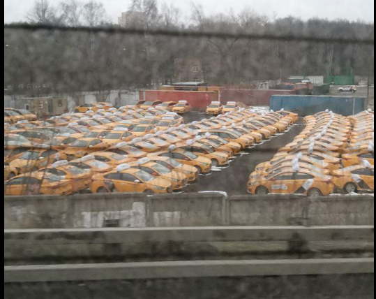 Все сдают арендные машины.