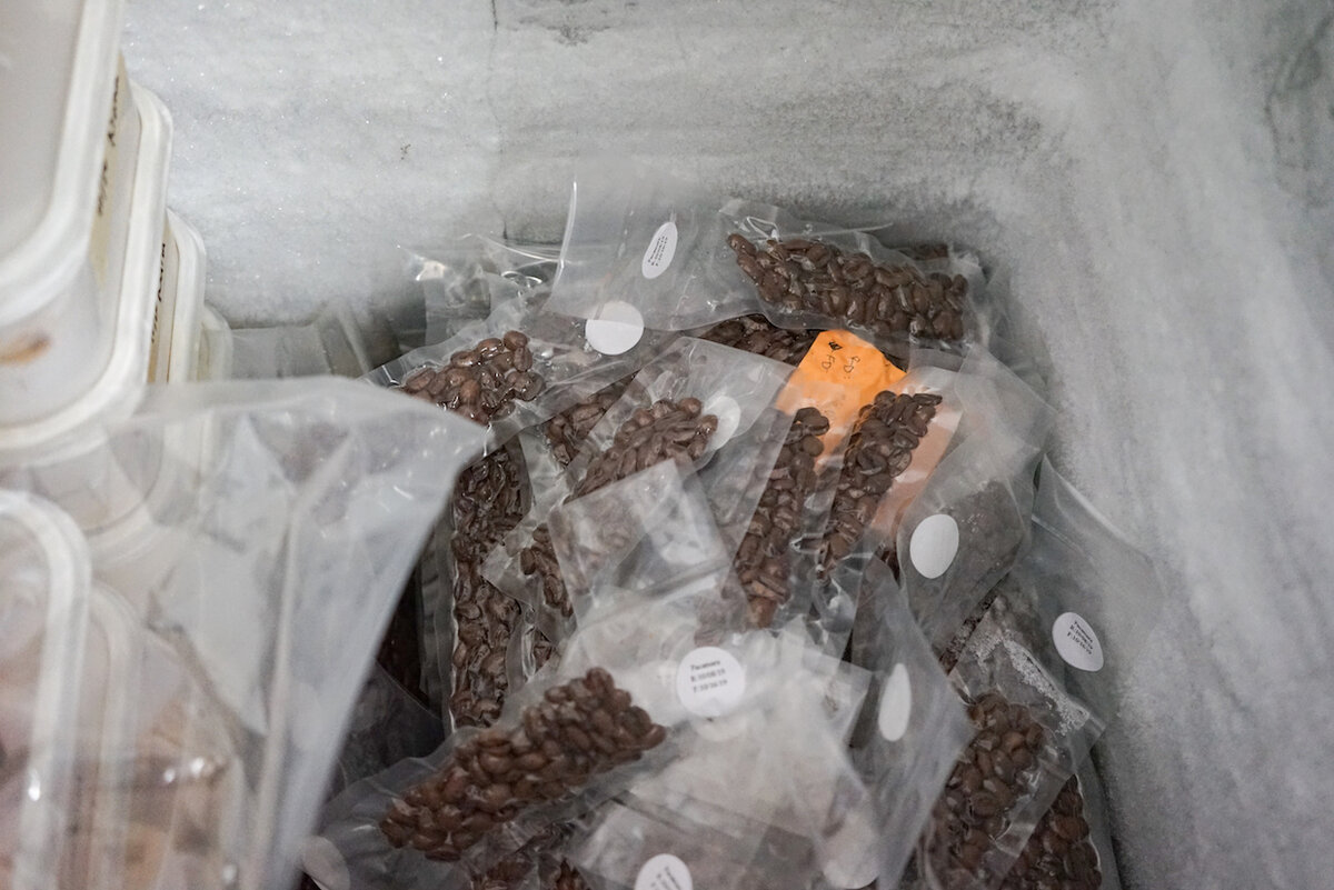 Кофе в вакуумной упаковке, фото Daily Coffee News