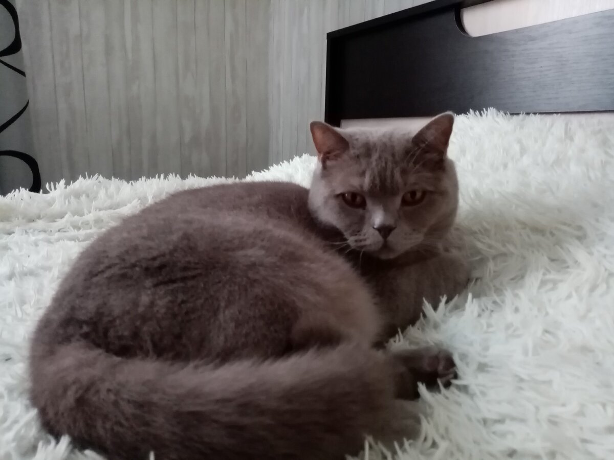 мое настроение