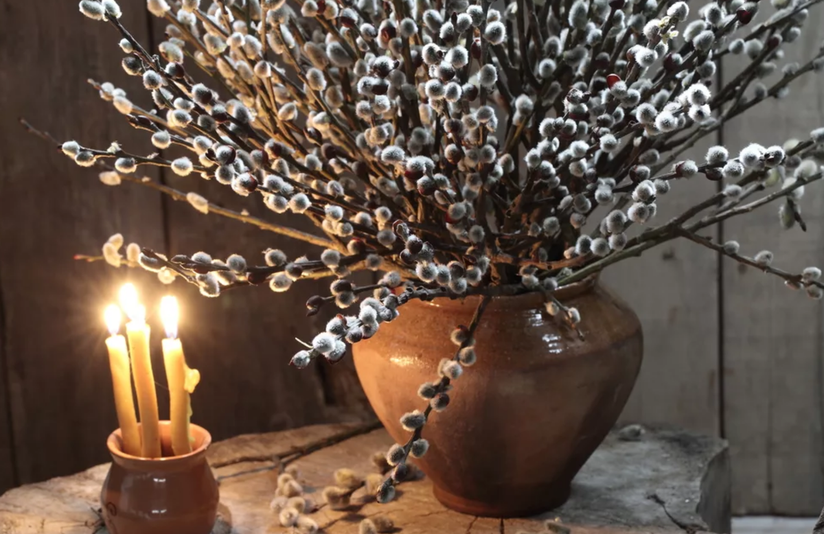 Источник: Яндекс