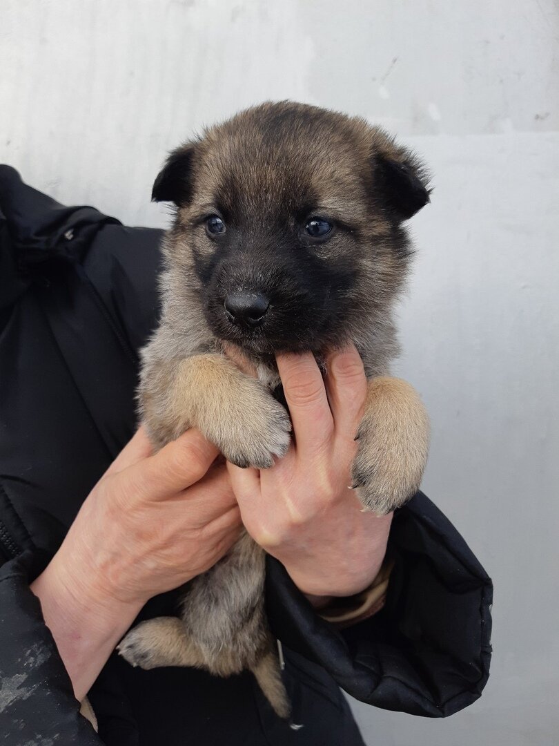 Фотография из личного архива