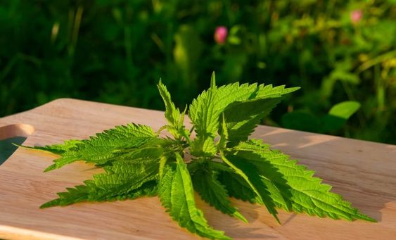 Фото из интернета:  https://www.pinterest.ru/pin/715298353292585082/