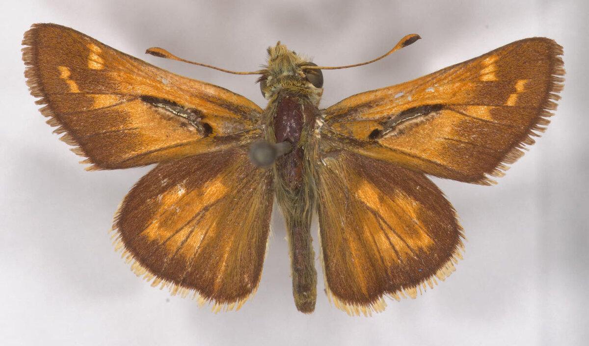 Фото из интернета