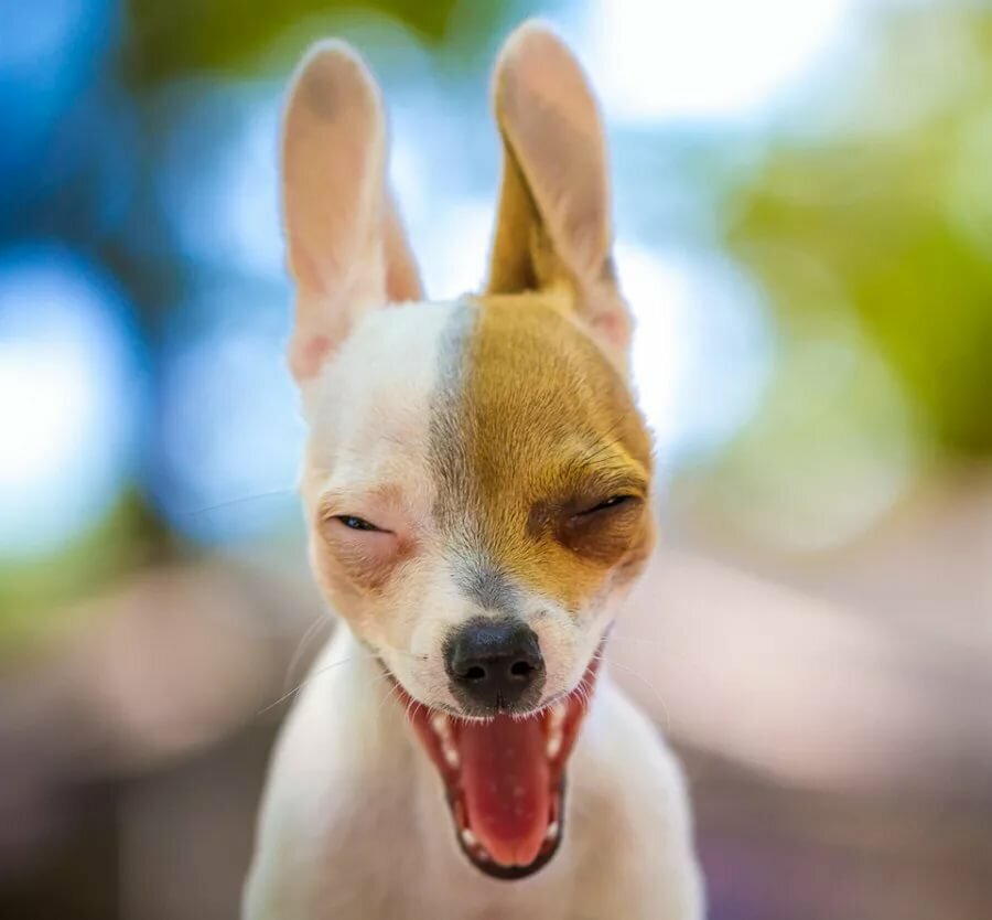 Фото: https://yandex.kz/collections/card/5d76f26a01cde48ef071c9b0/