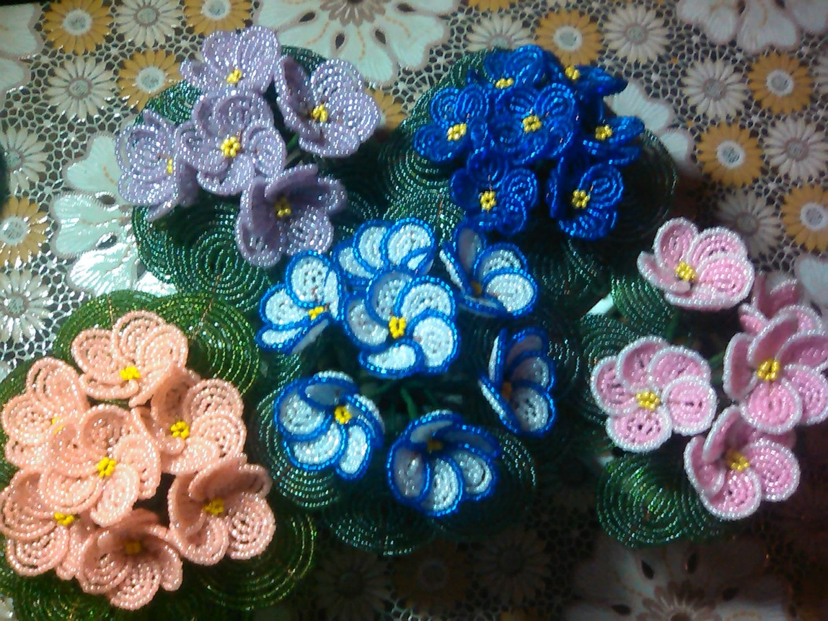  Вечно цветущие фиалочки