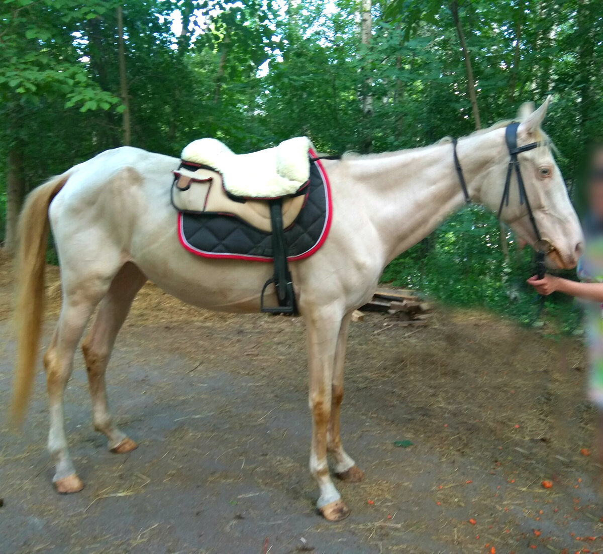 Красивая... но худая.