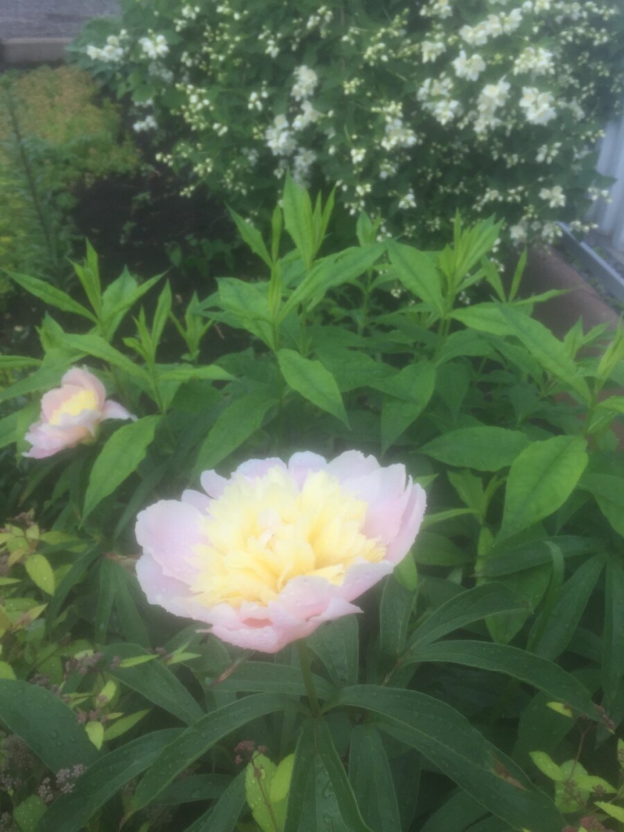 Утреннее пробуждение