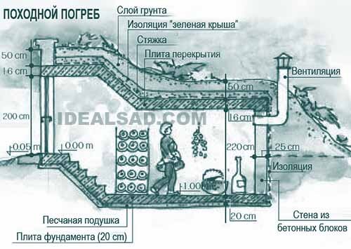 Погреб для дачи: виды, схемы и как сделать самому (пошагово с фото)