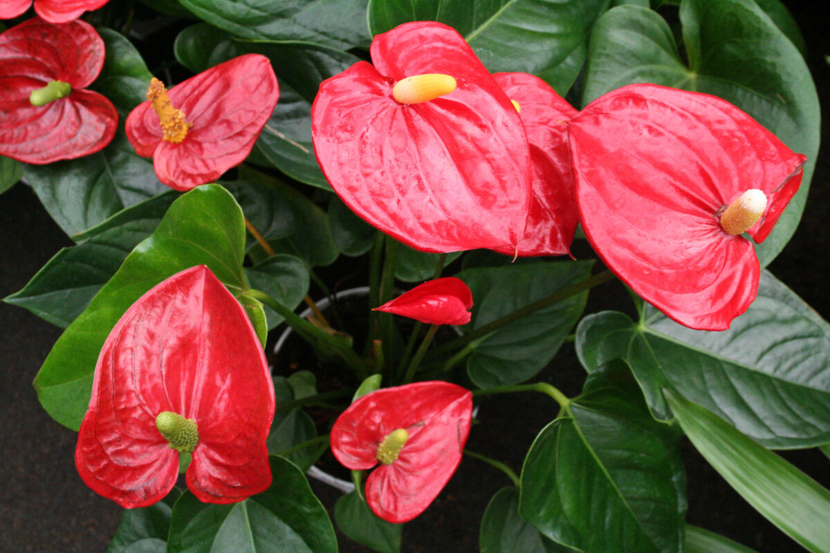 Источник фото: 1zoom.ru