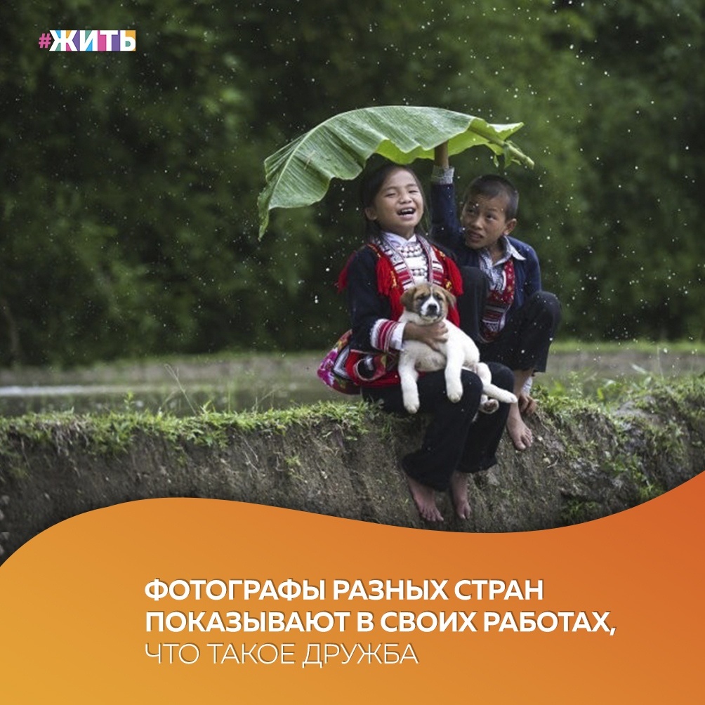 Более 16.328 фотографов выразили, что значит «Дружба» для них в своих фотографиях😍 
Здесь мы видим дружбу в бесконечных вариантах, но общее для всех форм дружбы: любовь, доверие и поддержка, которые возникают между живыми существами😌

Результатом дружбы является общая, более счастливая жизнь☀

#жить #проектжить #дружба
