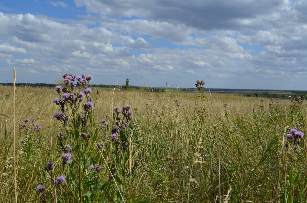Моменты. Фото автора