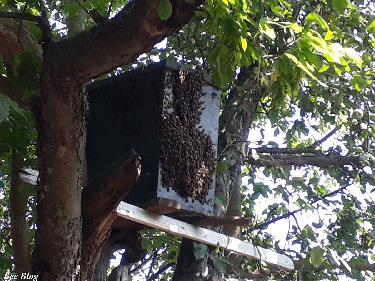 Вот такую "бороду" я успел заметить.
