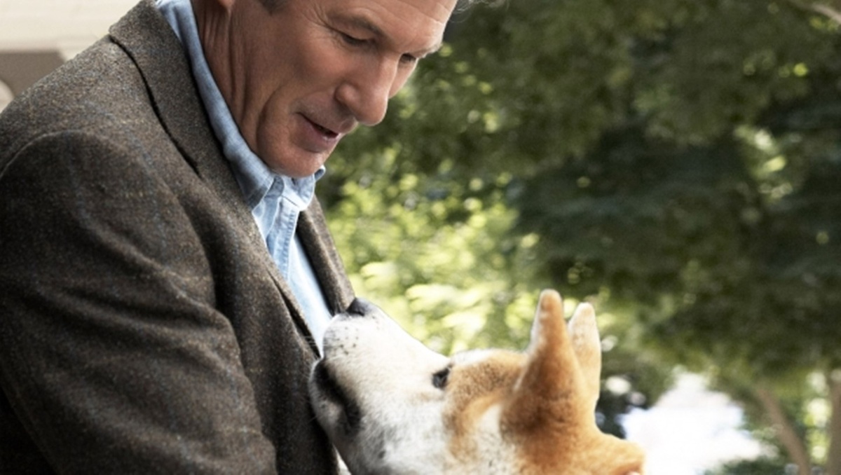 Ссылка на скачивание: https://kinotorrs.me/drama/hatiko_samyi_vernyi_drug_2008_skachat_torrent?MTc2LjE5My4xNTkuMjUw