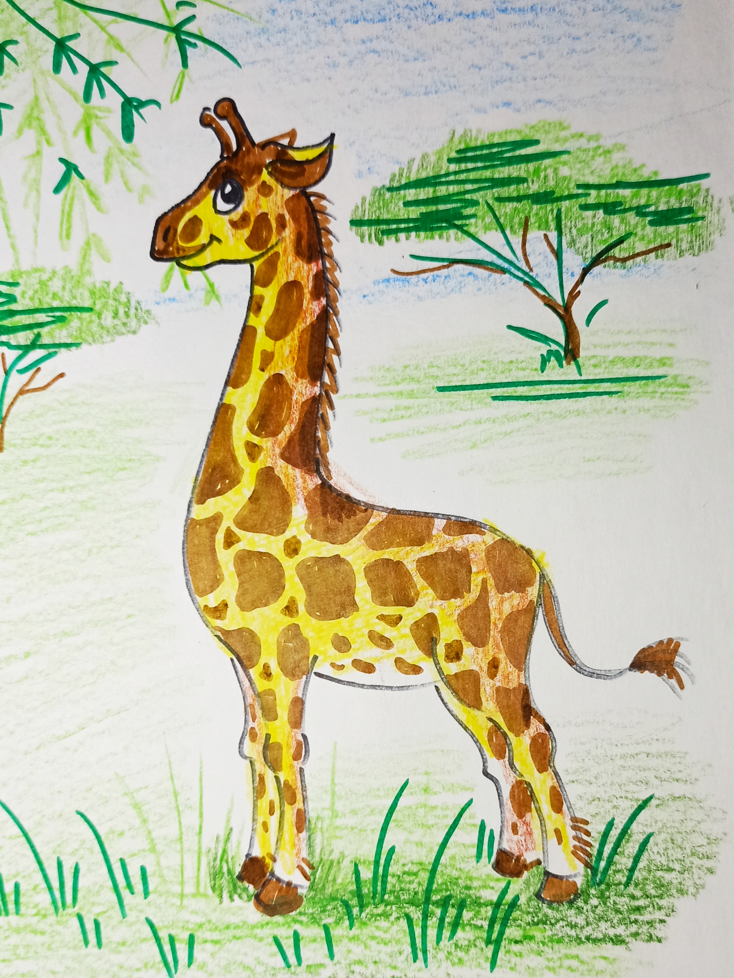 Жираф поэтапно для детей. Жираф рисунок. Детский рисунок жирафа. Рисование в подготовительной Жираф. Рисование Жираф подготовительная группа.