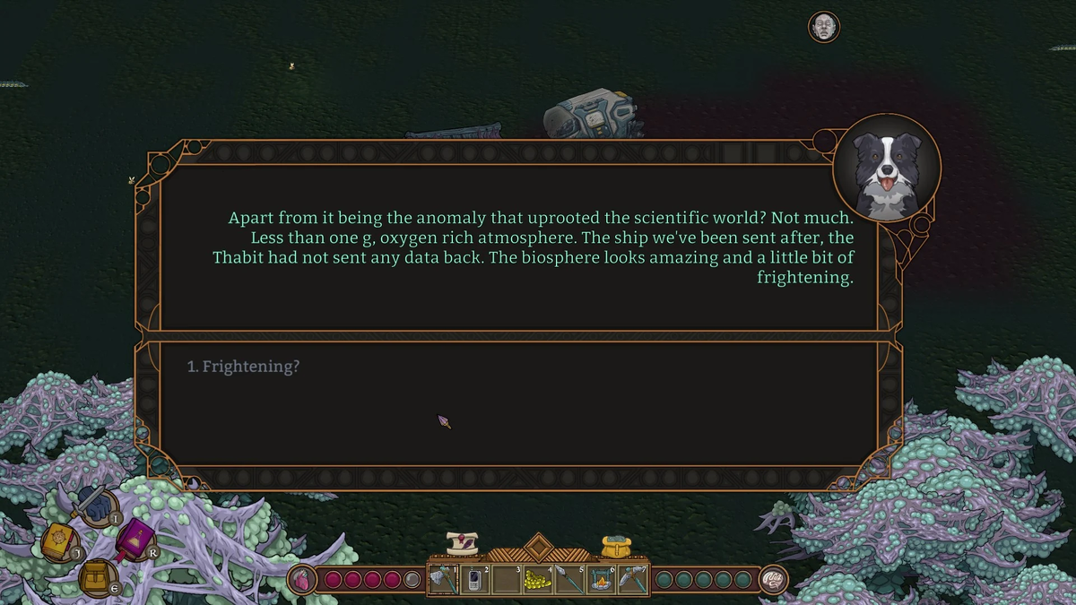 Неужели всё это смогла выговорить собака?..