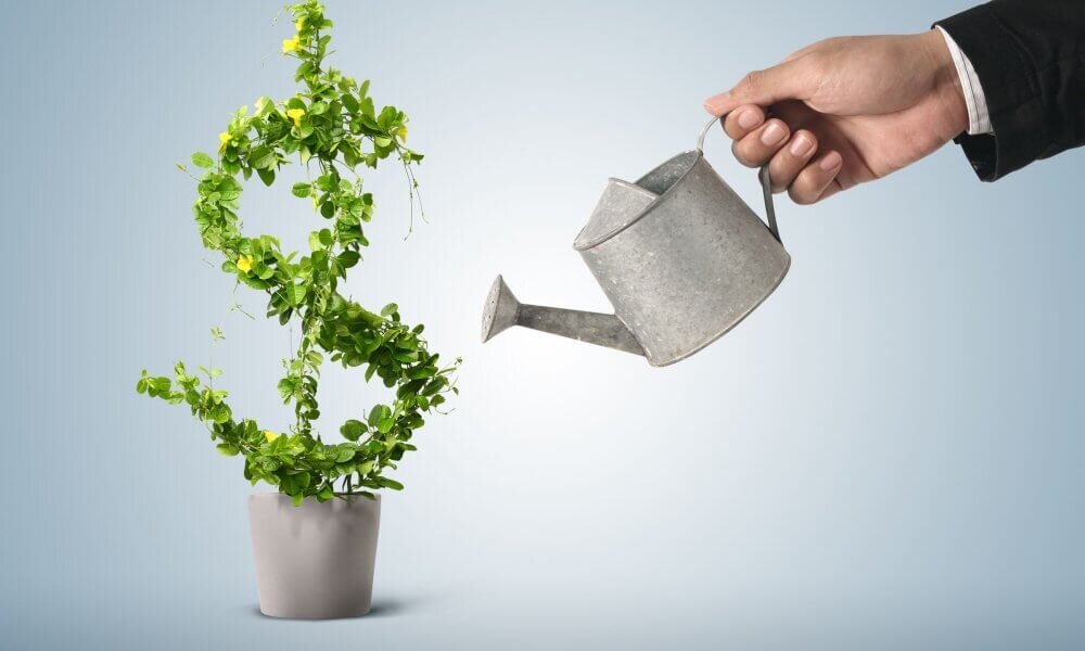 Рост инвестиций. Доллар, зелень.