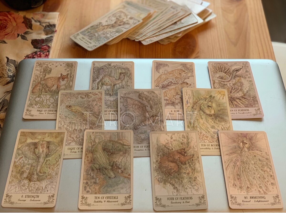 Фото из личной коллекции автора