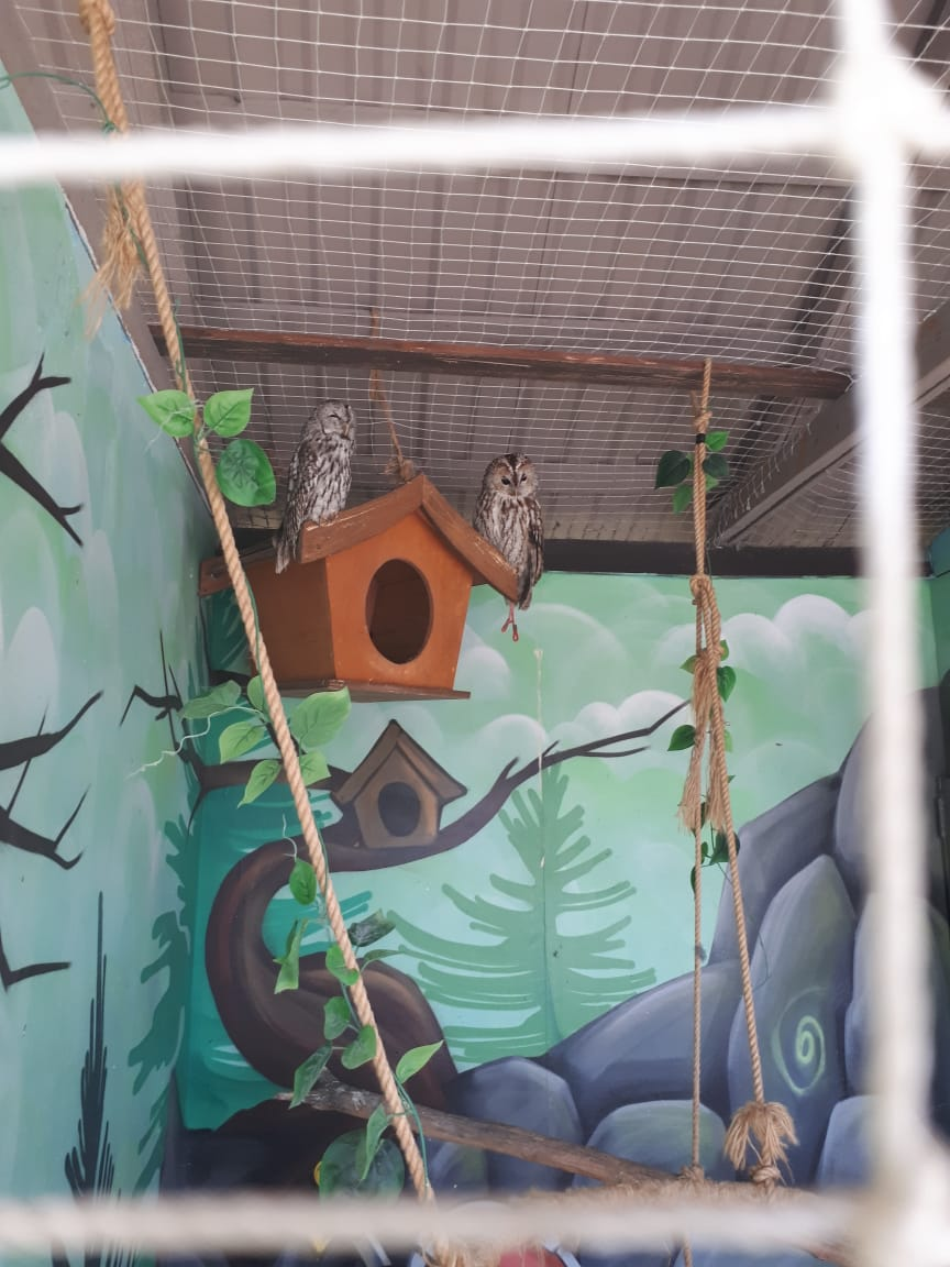 Купить квартиру в Сочи недорого. )))) Фото автора