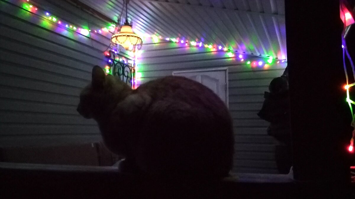 Предполагаемый вредитель.