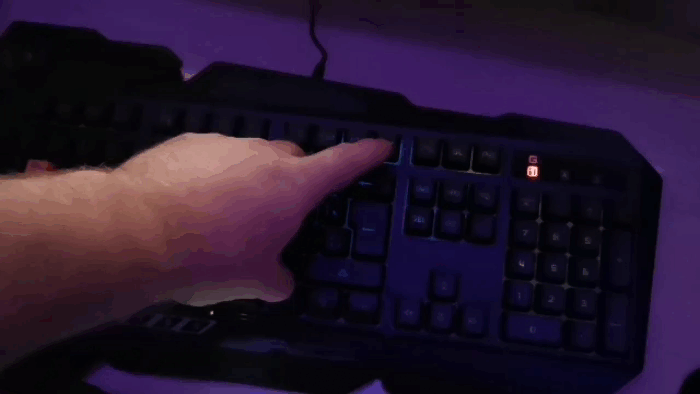 Fn + F12 отвечает за динамическую подсветку или отключение подсветки