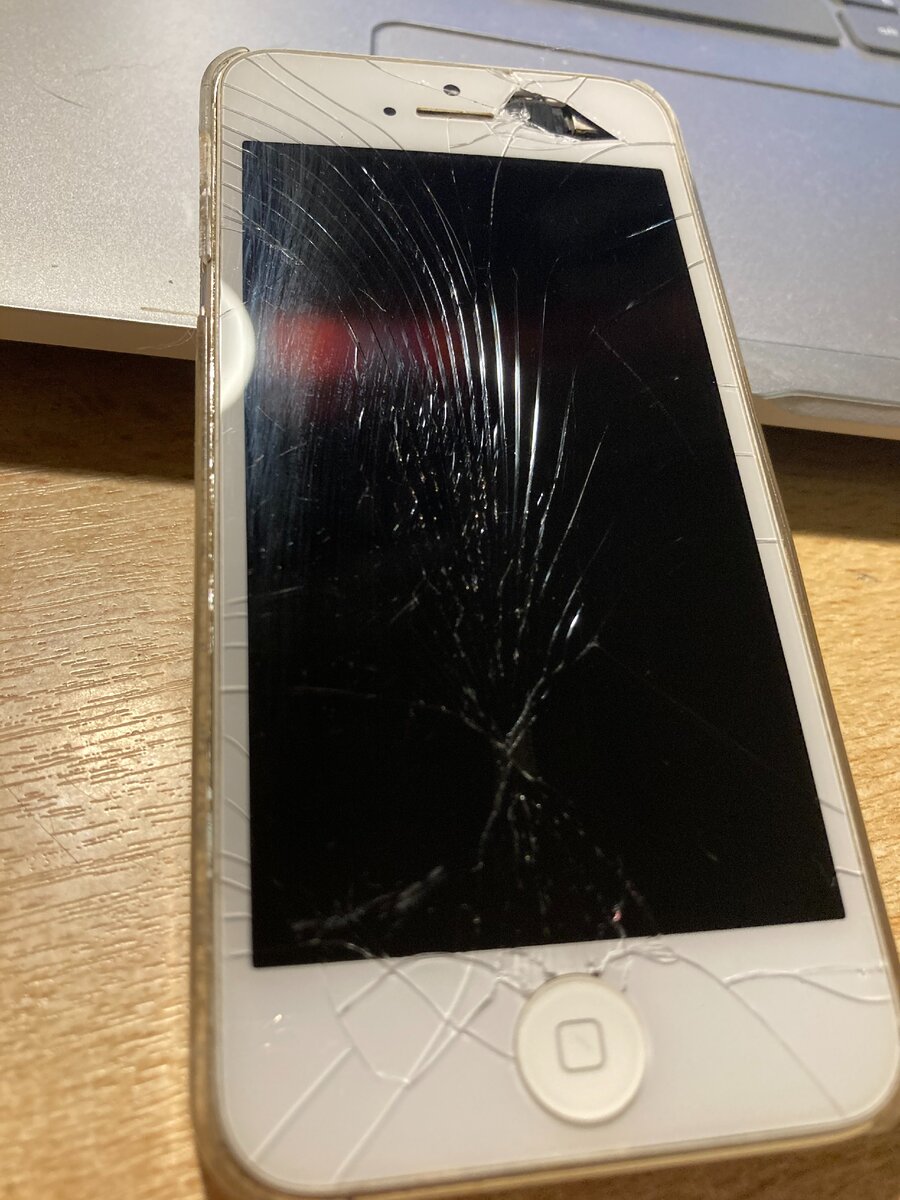 Вот чего она ими делает? Гвозди забивает? Орехи колет?