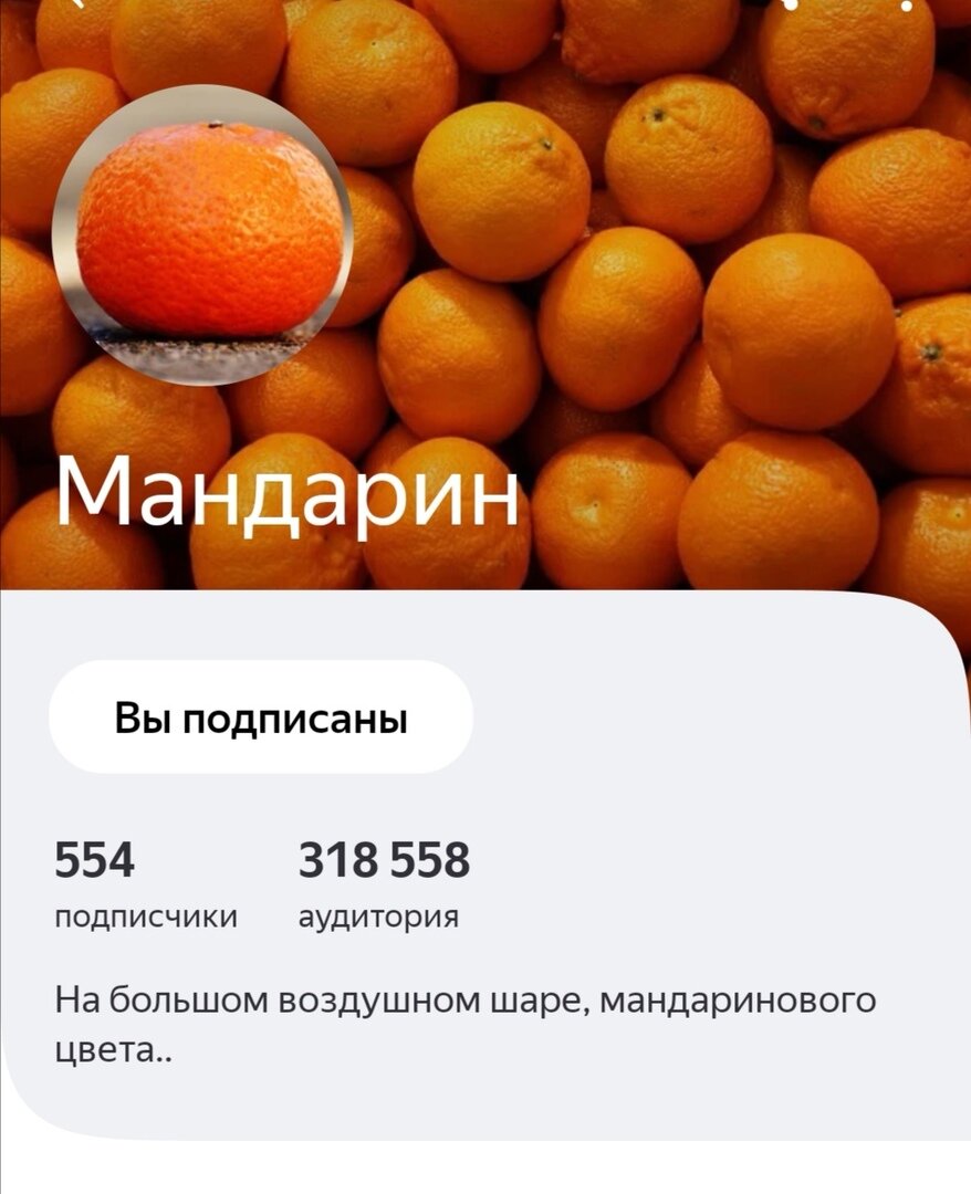 Как канал выглядит сейчас, нас уже чуть больше 500 человек