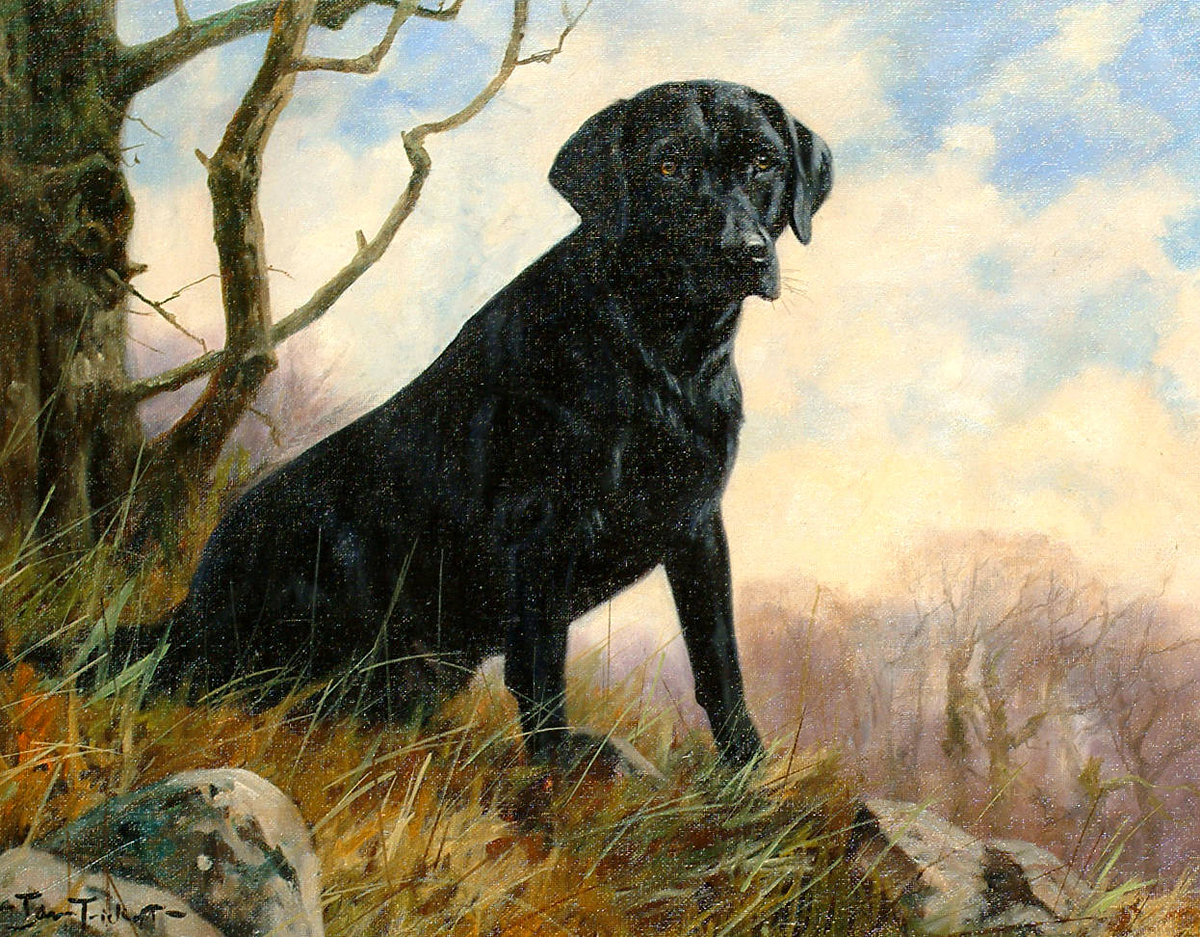 Джон Трикетт