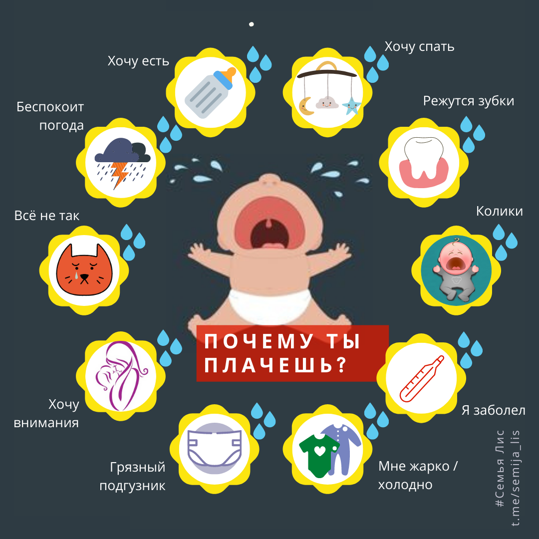 Повод для крика есть всегда. Главное, его понять