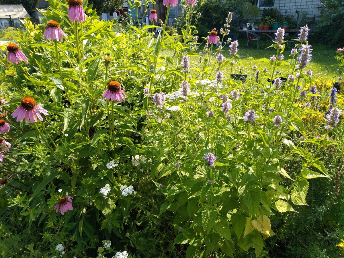 Разве можно сделать ее красивее? Можно!