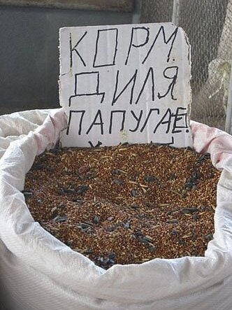 При взгляде на два написанных крупно слова мозг на мгновение зависает. Диля? Кто она такая и какое отношение имеет к семечкам? И тут же последнее слово вносит ясность: а, это кушанье для пернатых друзей! Отсутствие последней буквы автору прощаем - ну не вместилось, что поделать, и так понятно. 