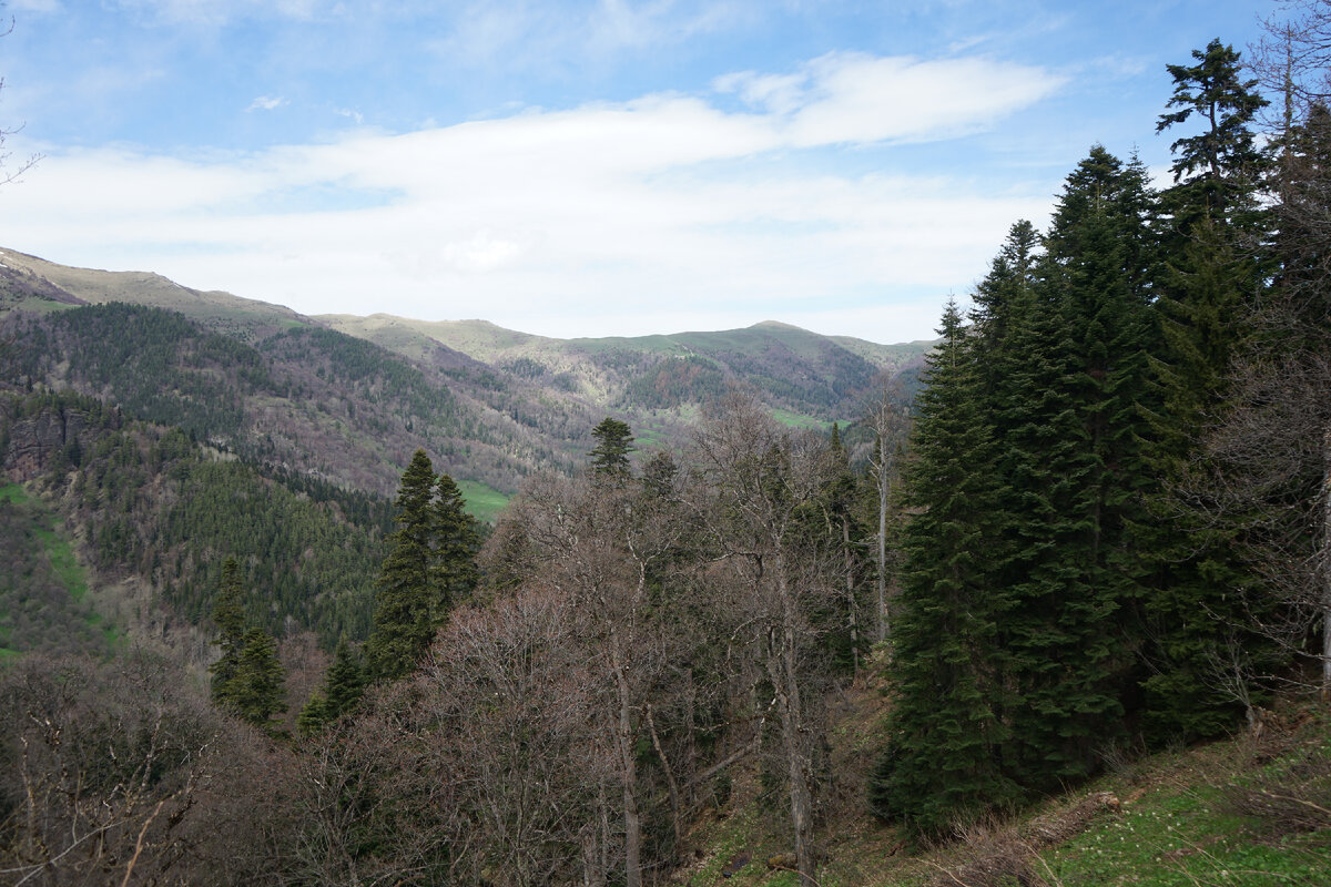 гора духов. гора духов. гималаи в абхазии. анна сойтту. дух горы книга.