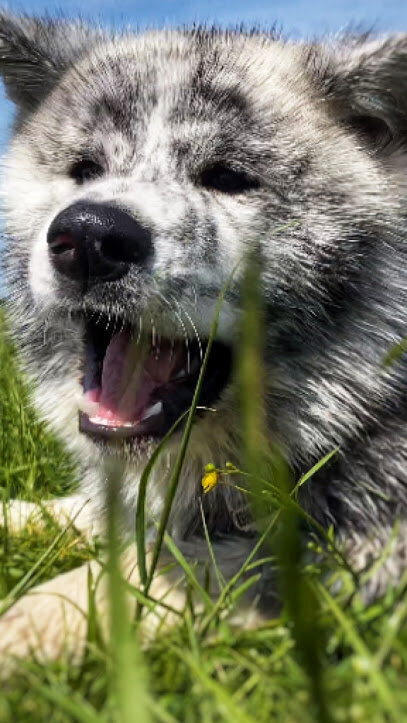 арестант на прежней свободе