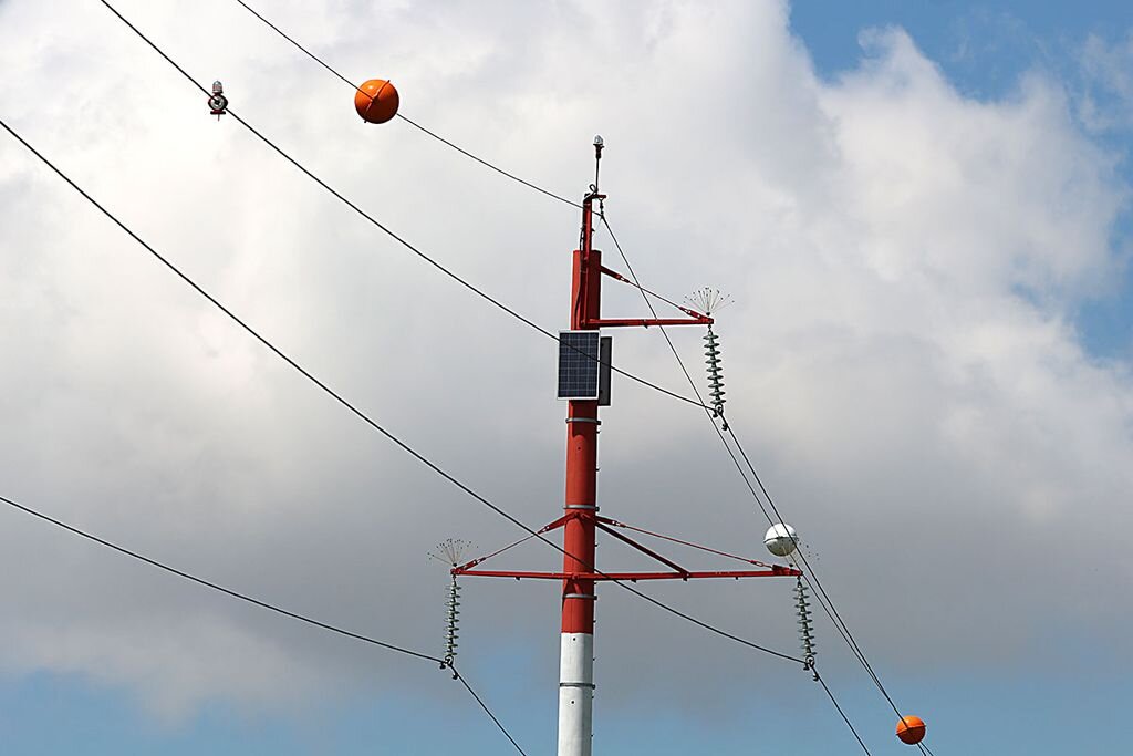 Фото из свободного источника