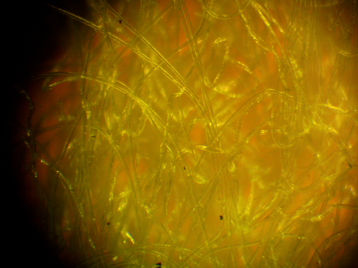 Волокна спанлейса 