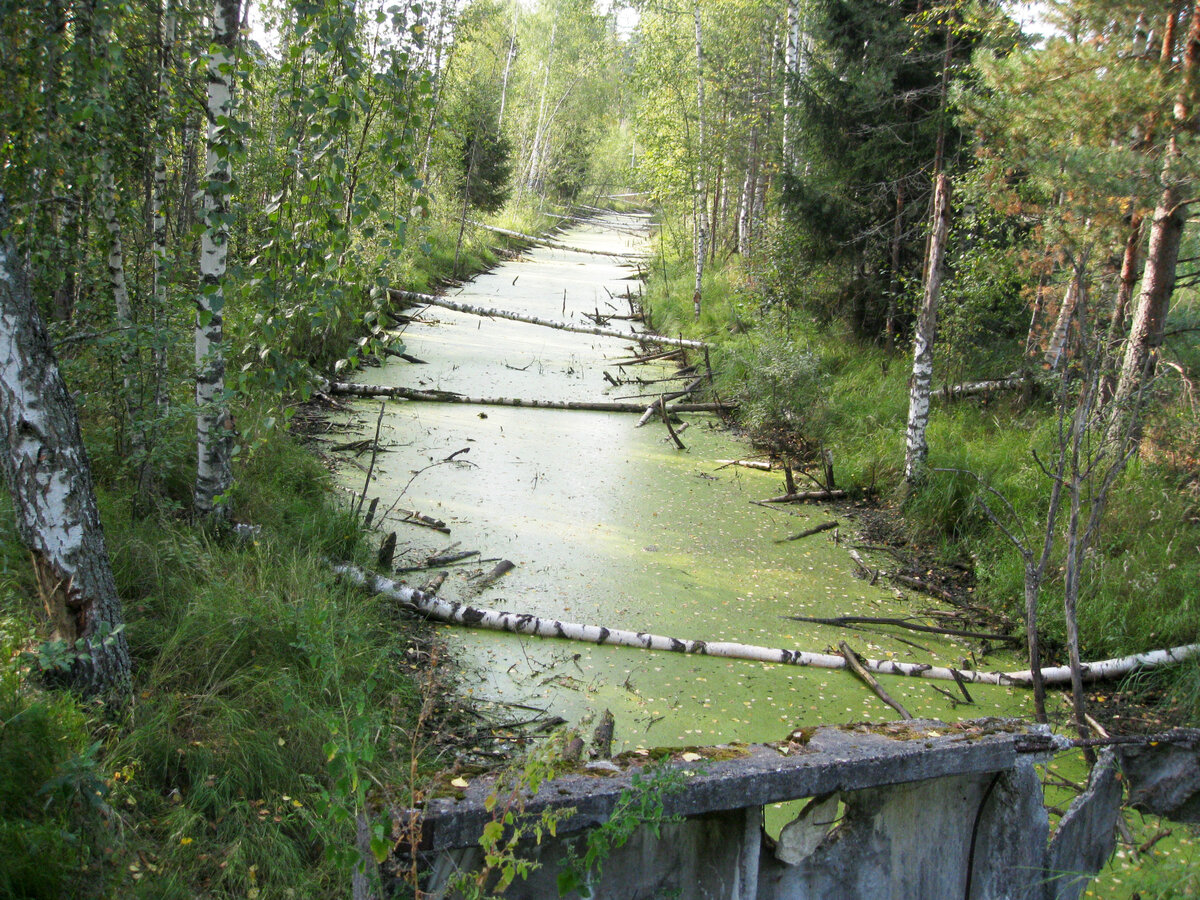 Бобровый канал