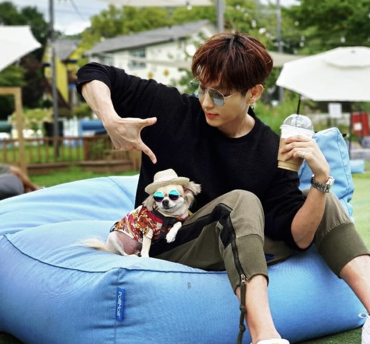 Фото из общедоступных источников 