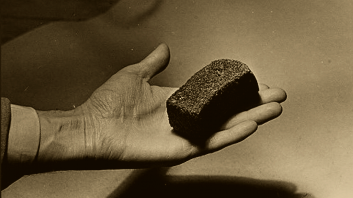 ФОТО: CGON.ROSPOTREBNADZOR.RU