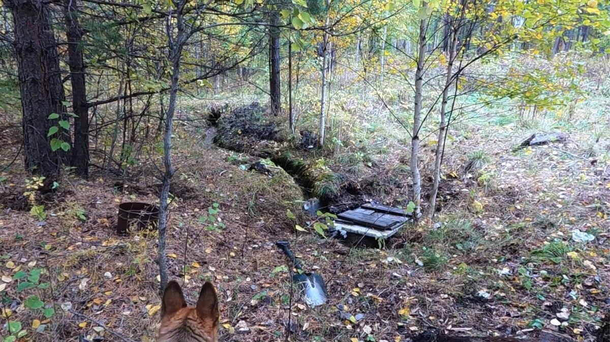  А лесной родник на данный момент выглядит так 