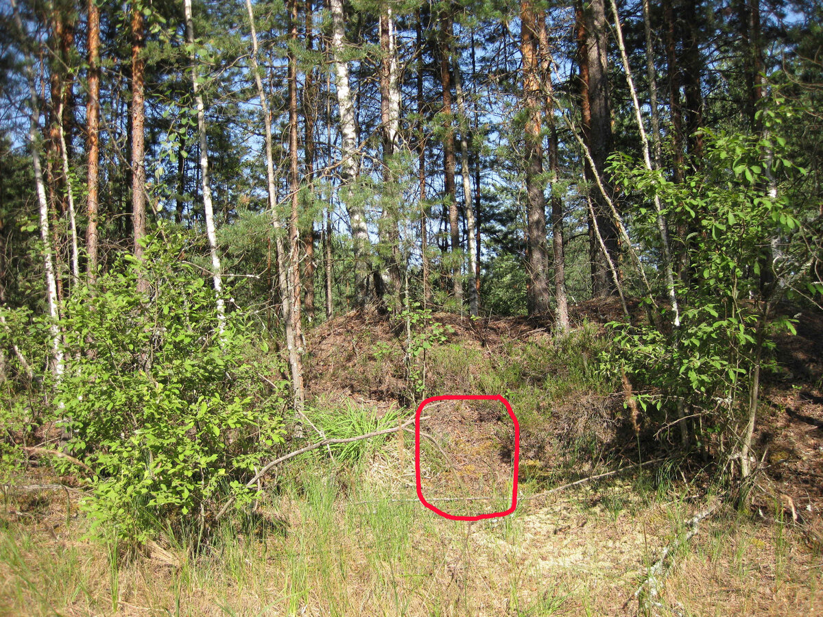 Место лёжки